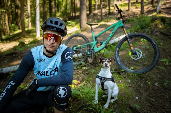 Best friends conquer the trails - A bike, Dog, friendship, Trail, Pokatushki, Milota, Fun, Sport, Video