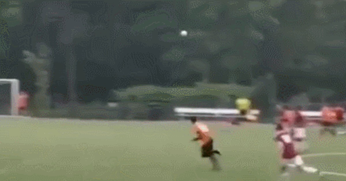 Corrected - Sport, Football, Goalkeeper, Fail, Save, GIF