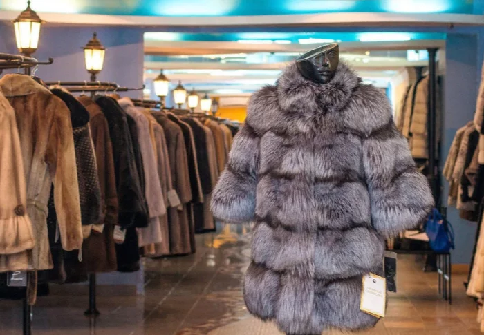 Business case: how to earn 800 thousand rubles from the seasonal sale of fur coats - My, Earnings, How to earn?, Fur coat, Arctic fox, Longpost