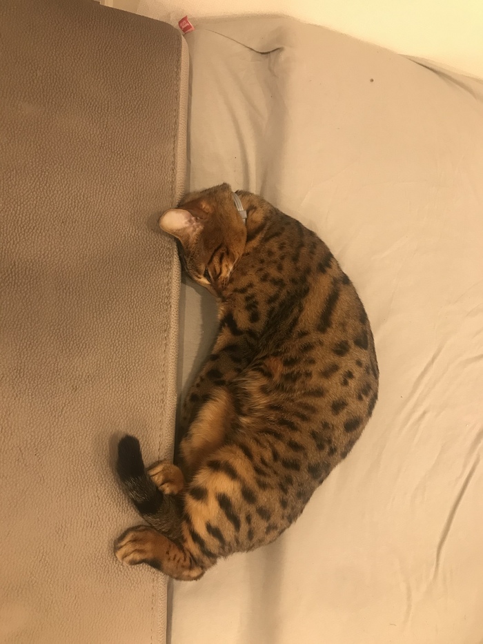 Видимо так удобно ))