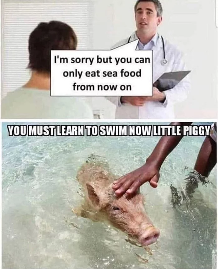 Seafood - Memes, Piggy