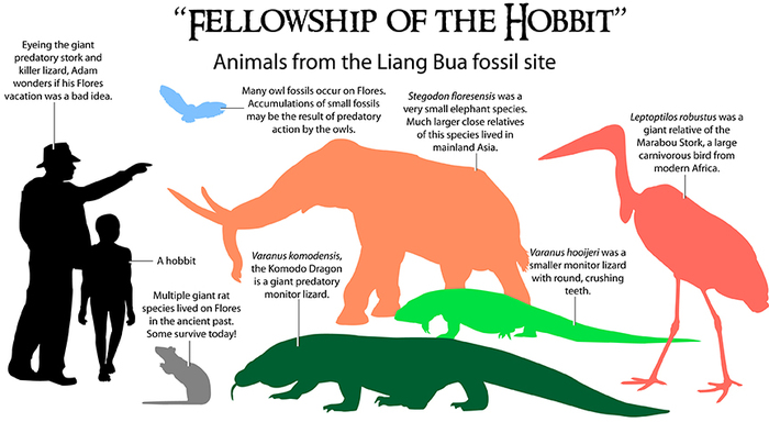 К сожалению, хоббиты существовали на самом деле
