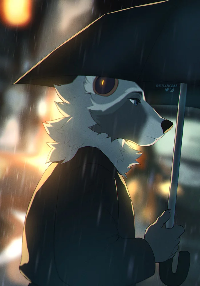 Rain in the city - Фурри, Furry Art, Дождь, Reilukah