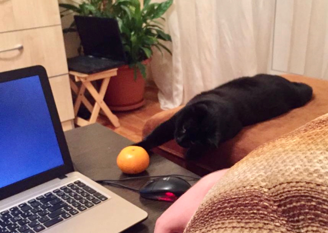 �������, ��� ��� � ���?