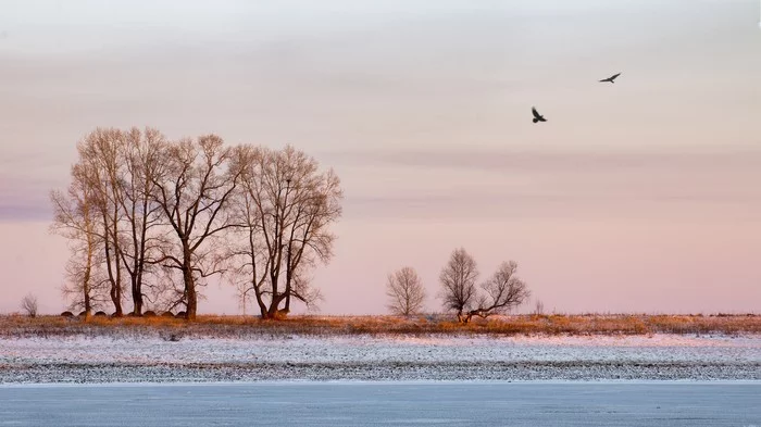 На закате в ноябре. - Моё, Начинающий фотограф, Пейзаж, Дерево, Canon 70d, Tamron, Photoshop, Закат, Тобольск