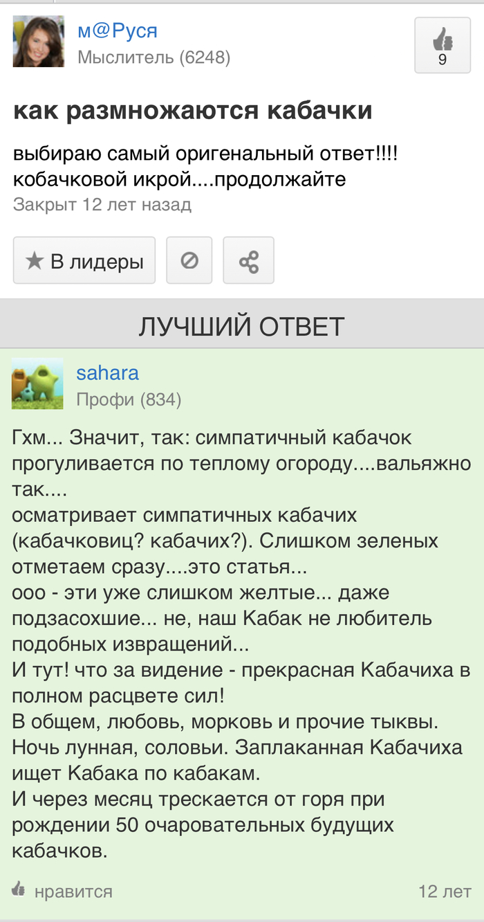 Жизнь одного кабачка