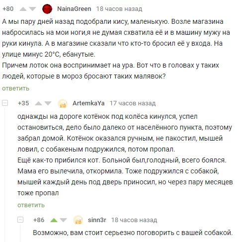 Подружился, а потом пропал - Комментарии на Пикабу, Кот, Собака