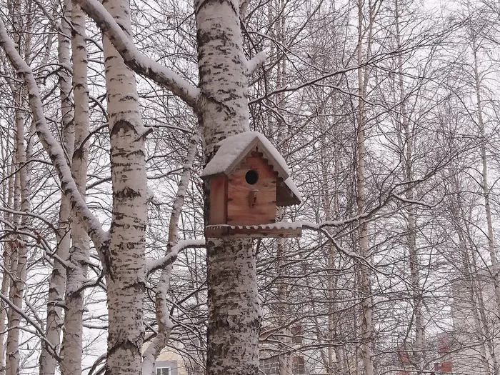 Good morning, Surgut! - My, Surgut, Snow, Birdhouse