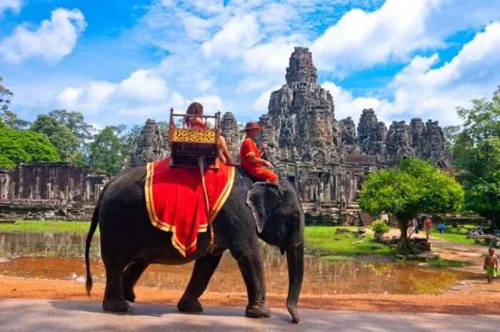 Ankgor Wat bans elephant rides from 2020 - Kindness, Animals, Elephants, Tourism, Cambodia, Angkor Wat, Law, Animal protection