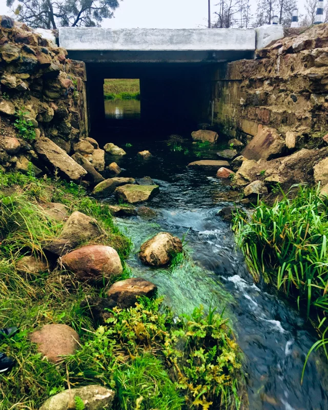 Brook - My, The photo, Nature