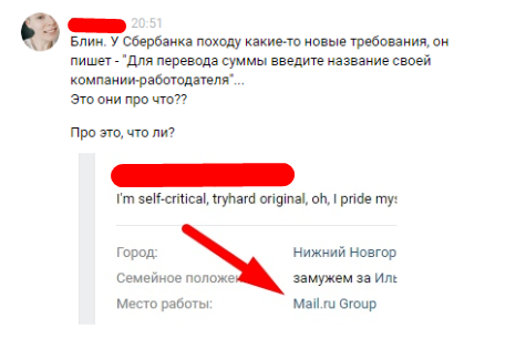 Fraudster, be careful! - My, Fraud, Story, Longpost, Humor, Mailru Group, Screenshot