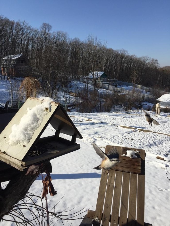 Дачные авиалинии) Взлёт - посадка.