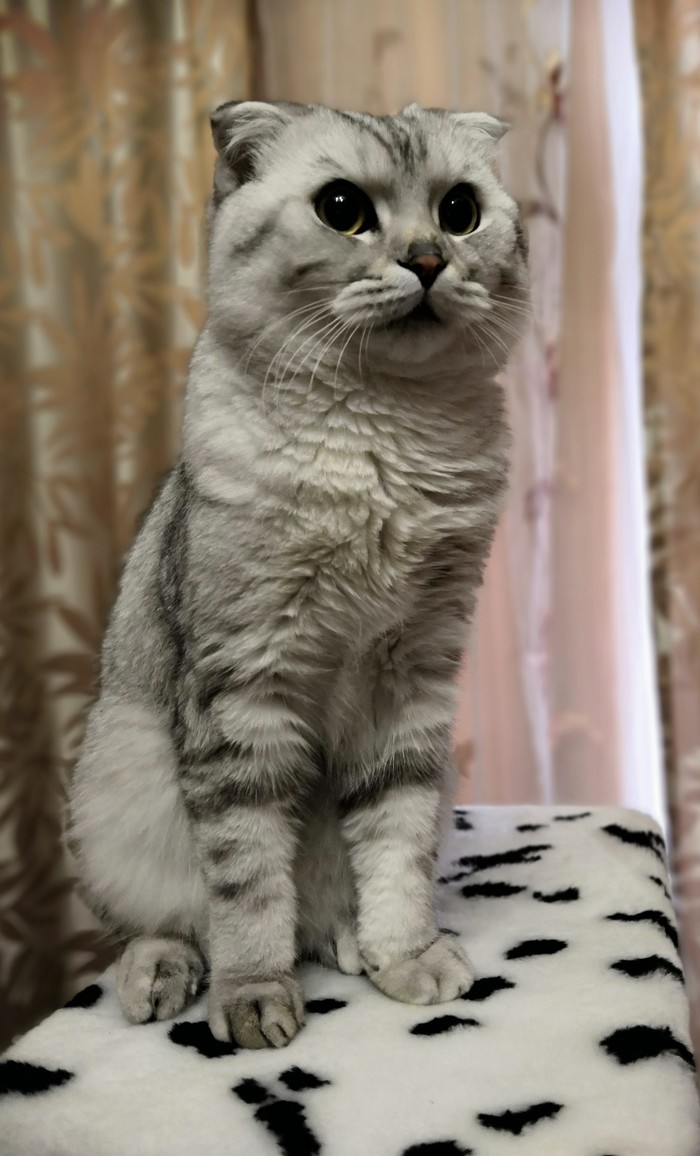 Химиотерапия такая