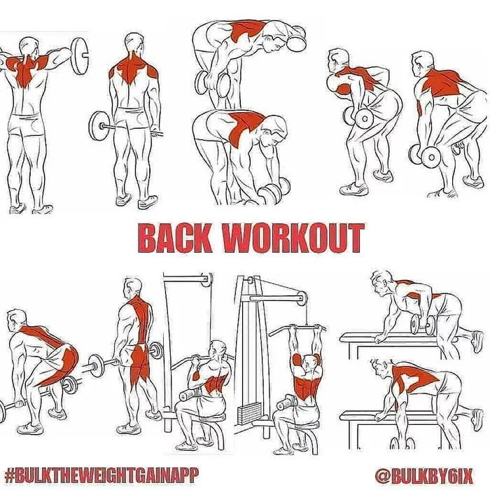 Strengthen your back muscles with these exercises - Drishch, Level up your drips, Gym, Back, Muscle, Sport, Body-building