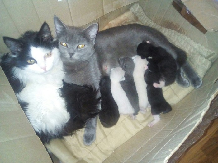 � � ��� ������� ����� ������ ����� �����, �. 2