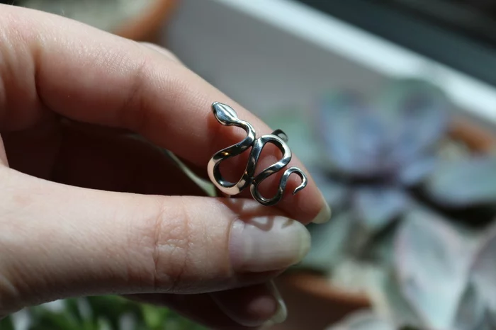 Snake - My, Jewelcrafting, Jewelry, Ring, With your own hands, Snake, Silver, Silver Jewelry