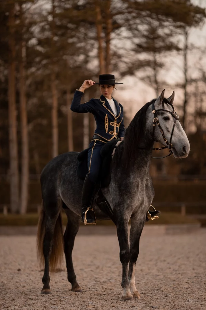 Spanish beauty in the feed - Horses, Girls, Longpost