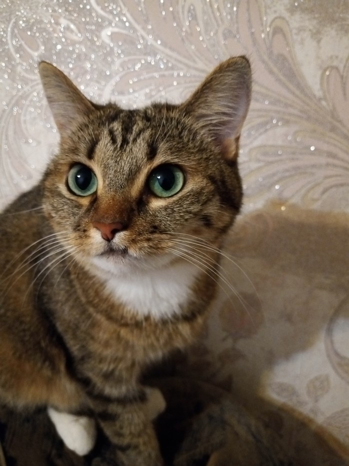 Поздравляю себя)