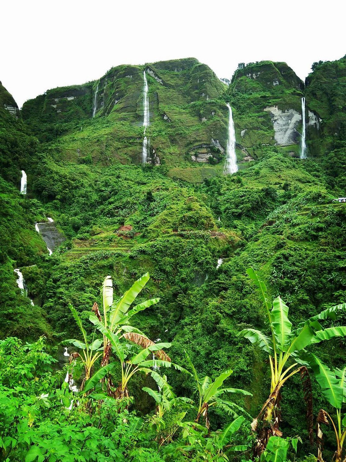 ��������, ���������