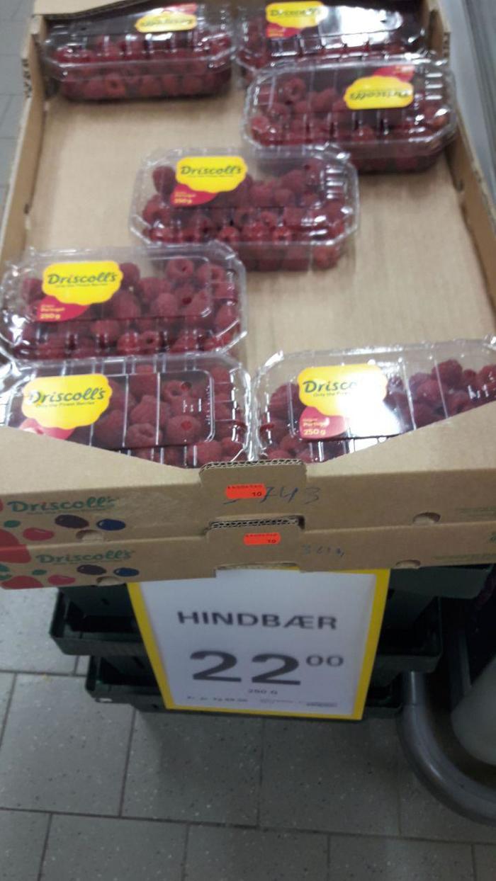 Жизнь в Дании, часть 2 Дания, Переезд, Длиннопост