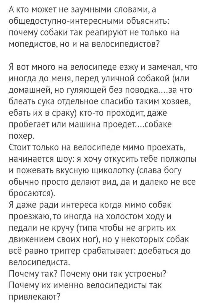 Если не очень заумно - Комментарии на Пикабу, Собака, Велосипед, Бродячие собаки