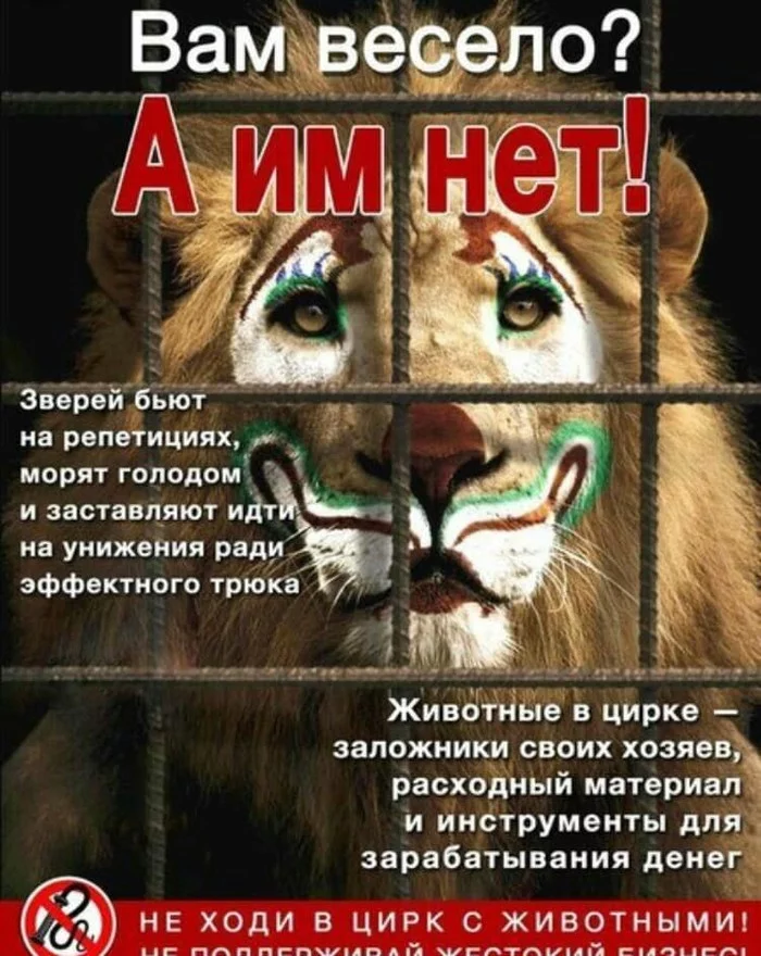 For a circus without animals! - My, Animal rights, Ecology, Evolution, Society