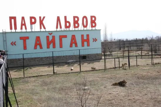 The Ministry of Natural Resources of Crimea carried out an unscheduled inspection of the zoological parks Fairy Tale and Safari Park Taigan - Mep, Russia, Crimea, Taigan Lions Park, Проверка, Violation, news, Animals, Longpost