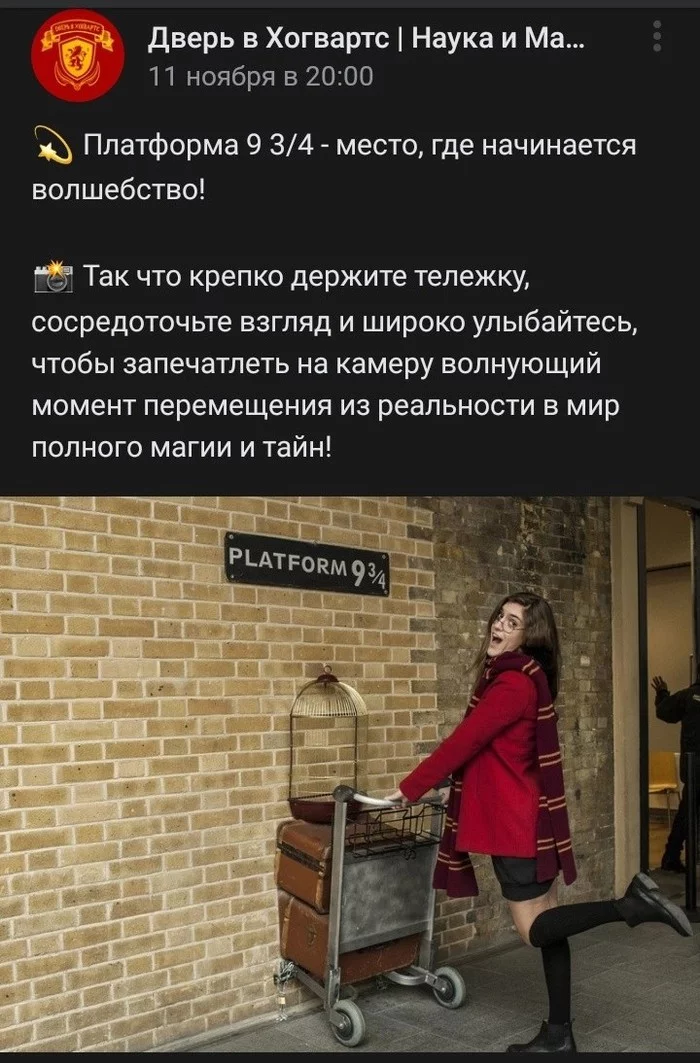 Harry Potter at minimum wage - My, Expectation and reality, Disappointment, Harry Potter, Chelyabinsk, Exhibition, Longpost, Negative, Deception