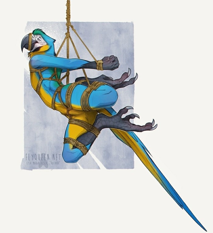 ,    ...? , , , 