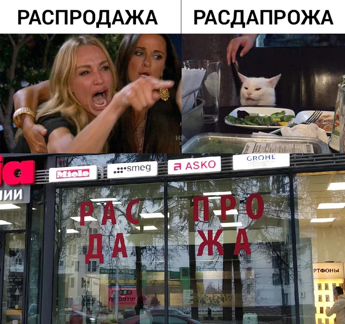 I saw an advertisement in Ufa today) I did it immediately - My, Two women yell at the cat, cat, Memes, Ufa, Rock ebol