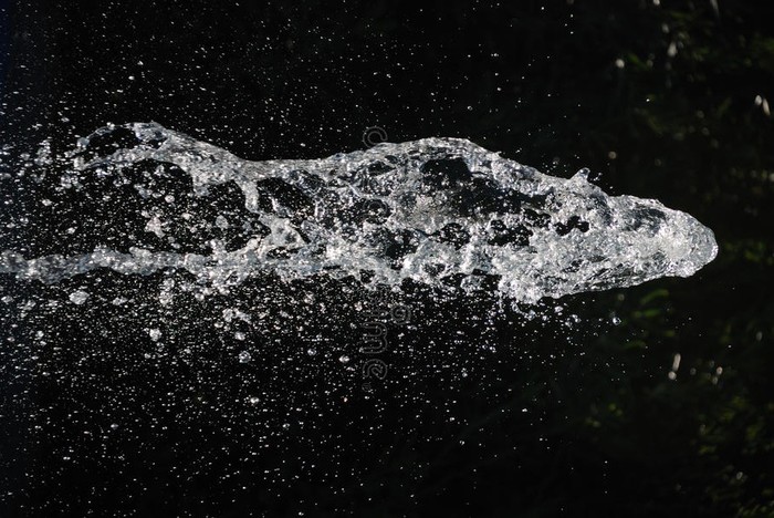 Почему я крупный домашний скот с задней стороны не обхожу