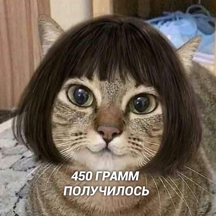 И так всегда Кот, Котомафия, Милота, Длиннопост
