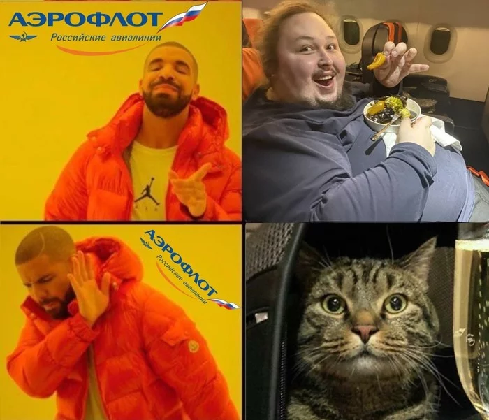 Aeroflot, such Aeroflot... - cat, Aeroflot, Toilet, Fullness, A son, Luka Zatravkin