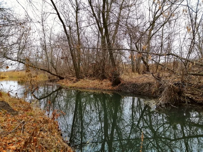 Late fall - My, Mobile photography, Autumn, River, Longpost