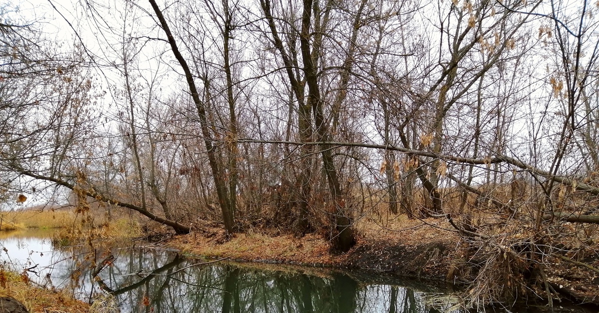 алтай осенью. ставропольский край осень поздняя. поэтизация природы в литературе это. горы кузбасса осень. грустная осень.