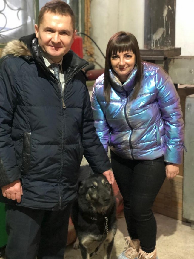 Omsk deputy Stepan BONKOVSKY “Helping animals is everyone’s duty” - Kindness, Animals, Homeless animals, Deputies, Russia, Omsk, Charity, Longpost, Politics