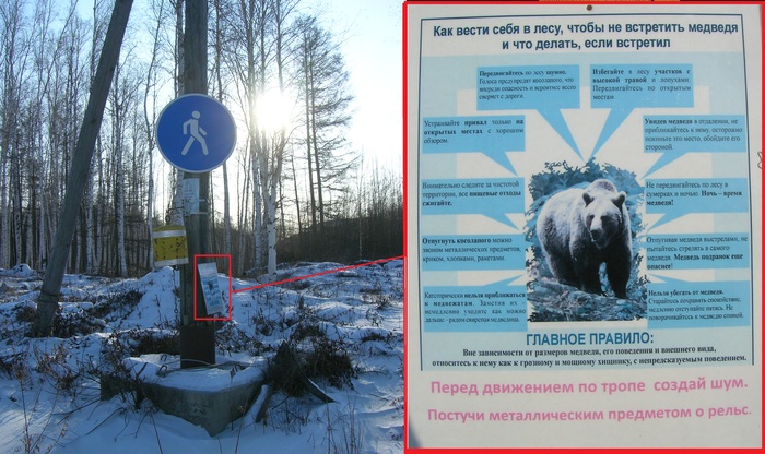 Медвежий угол