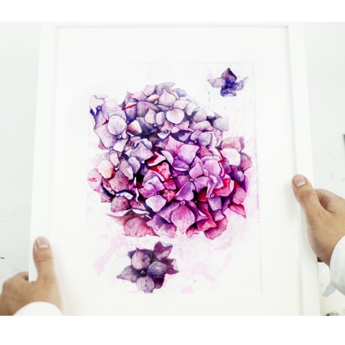 Гортензия - совместный рисунок с племянником