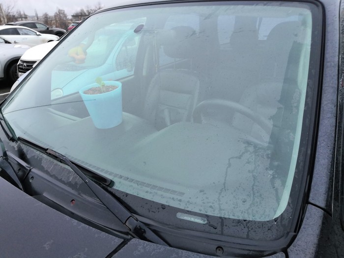 ��� ����������� ���������� �������. ������ ����� �������