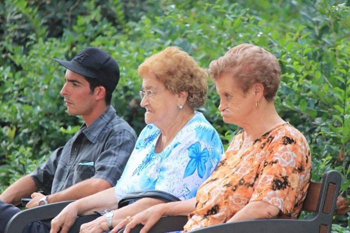 �������� ���������