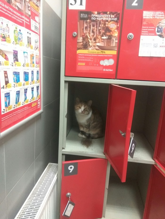 � ����� ��� ������� ���� � ���������