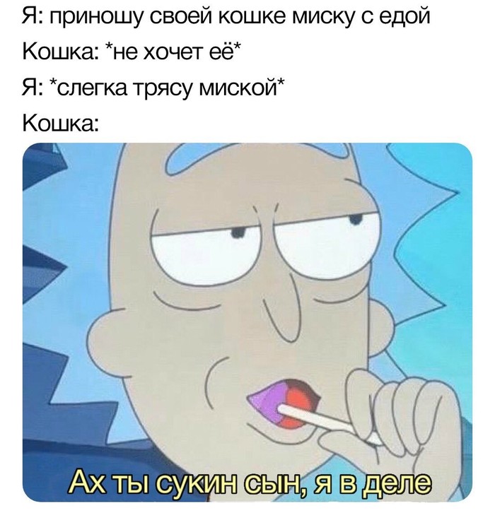 И так всегда