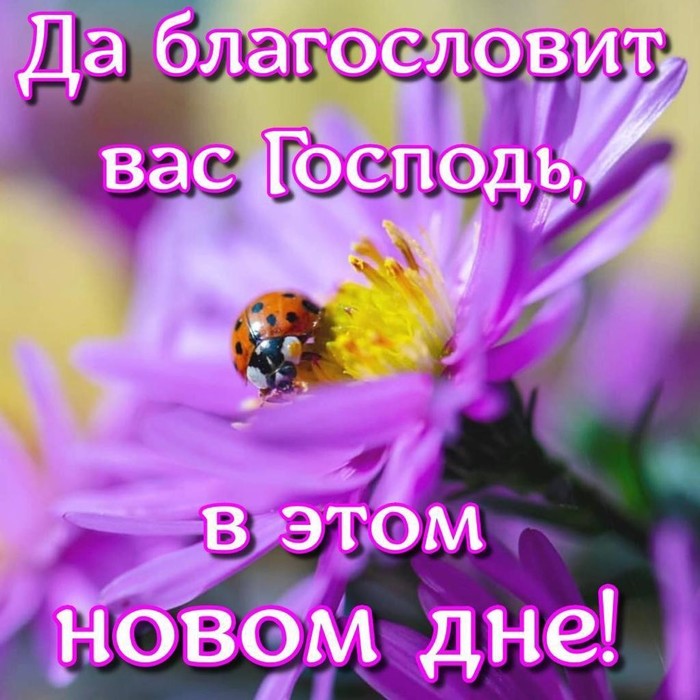 Слава Богу | Пикабу