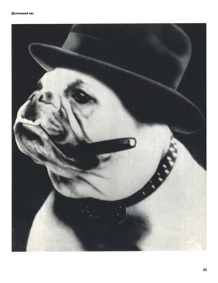 Fulton Dog. Artist: Alexander Zhitomirsky - Poster, Photoshop master, the USSR, Churchill, Критика, Satire, Caricature, Political caricature, Winston Churchill