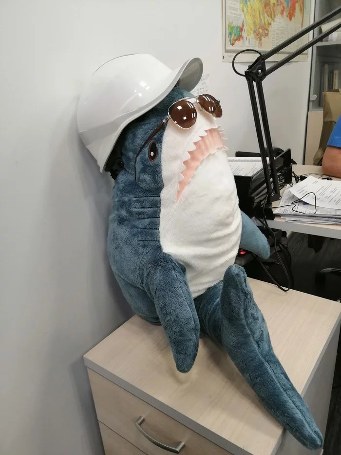 We have a new employee - My, Shark, Helmet, Drawing, Work, Longpost, Blohey