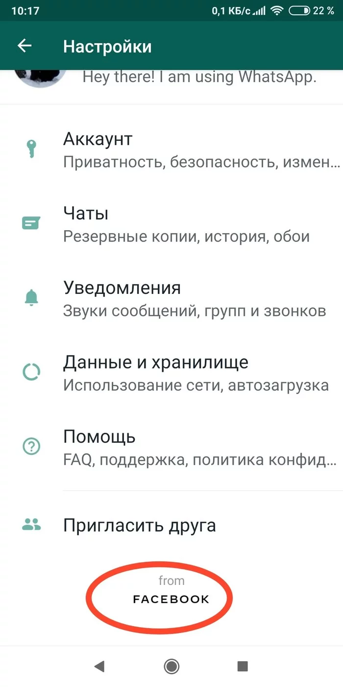 Вопрос - Моё, Вопрос, Whatsapp