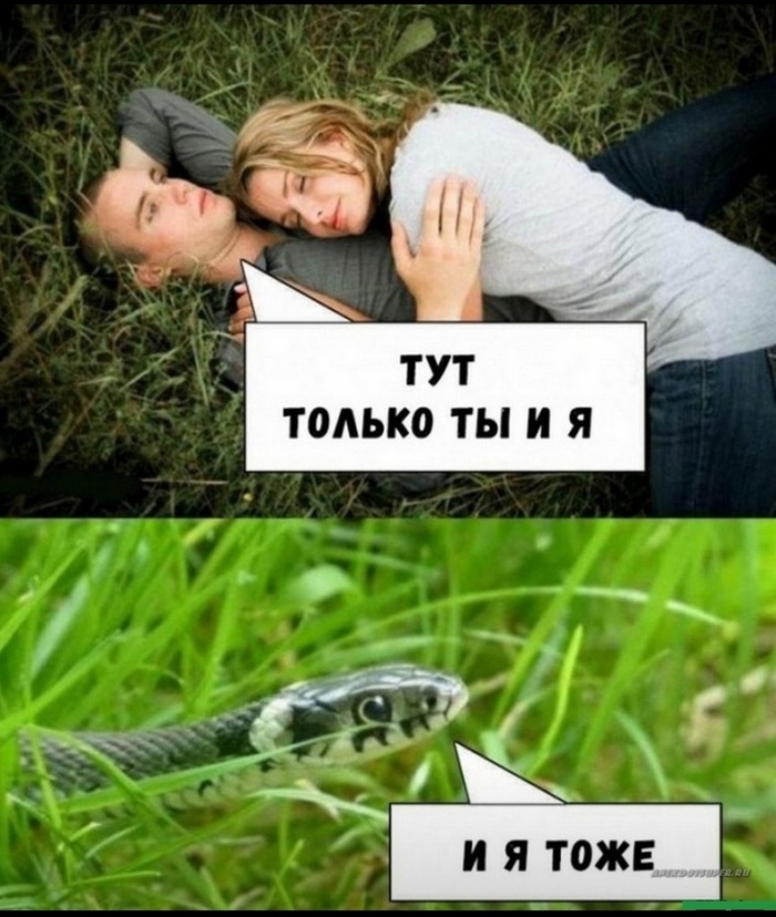    , , , 