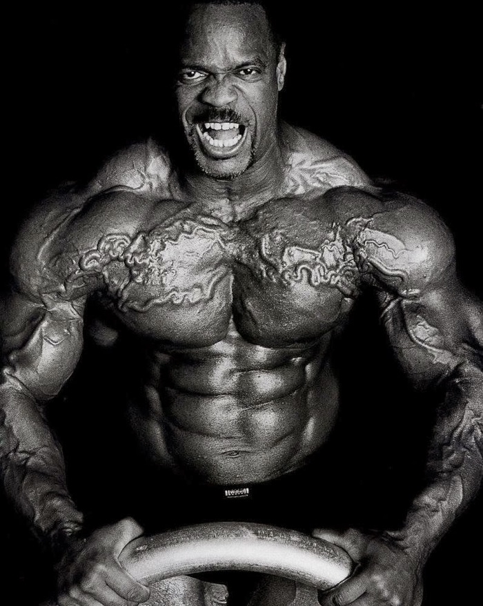 ��������� ���������: ����.