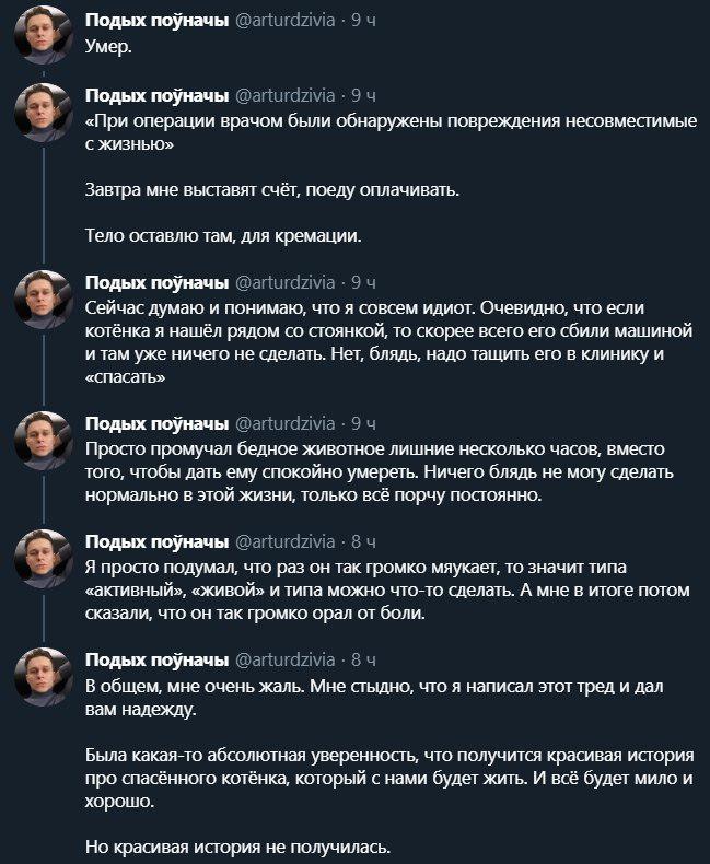 Сходил, называется, в магазин.... - Twitter, Скриншот, Кот, Спасение животных, Длиннопост, Негатив, Мат