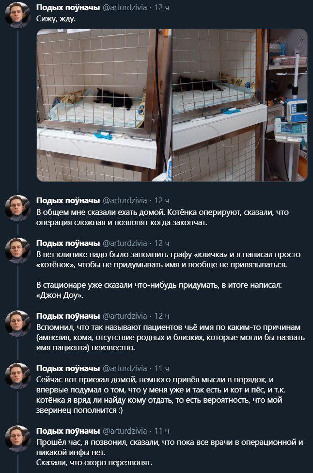 Сходил, называется, в магазин.... - Twitter, Скриншот, Кот, Спасение животных, Длиннопост, Негатив, Мат